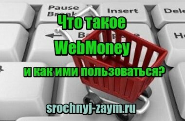 Миниатюра Что такое WebMoney и как ими пользоваться?